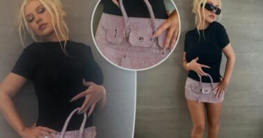 Vetëm Christina Aguilera mund të mbante një çantë të tillë