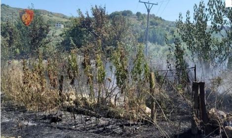 Ndezi zjarr në oborrin e saj, flakët djegin pemët frutore të fqinjit, arrestohet 58-vjeçarja në Krujë