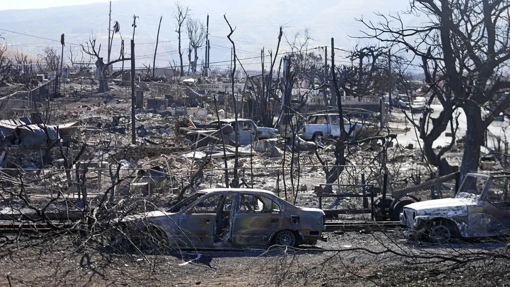 Mbi 110 të vdekur nga zjarret në Hawaii/ Jep dorëheqjen pas kritikave shefi i agjencisë së urgjencës në Maui