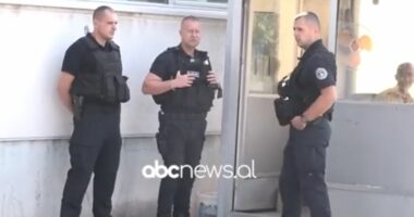 Thellohet skandali i qeverisë Kurti/ Hetimet: Veç grurit e vajit, në rezervat nuk hynë edhe 120 ton sheqer