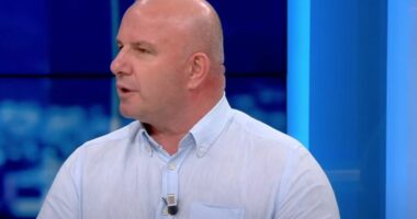 “Nuk e njohim Bashën si kryetar”, Gështenja: Në PD asnjëherë nuk ka patur zgjedhje, Bardhi gëzon mbështetje