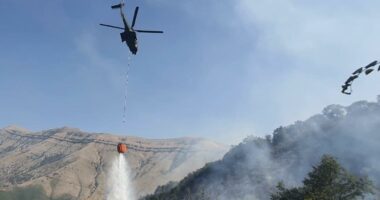 Zjarret, dy vatra aktive/ Janë shuar 10 në 24 orët e fundit, emergjencat në aksion