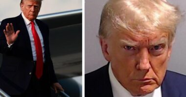 Shkoi me “këmbët e tij” në burg, publikohet fotoja e Donald Trump si i dyshuar