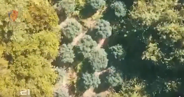 Droga në Zall Herr/ Në “hell” i gjithë reparti, shkarkohen 4, dhjetë të tjerë në rrezik