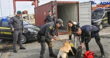 Sekuestrohen 50 kg kokainë me vlerë 35 milionë euro, një i arrestuar në Itali