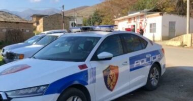 Plagosi me thikë 28-vjeçarin në Kukës, policia identifikon autorin