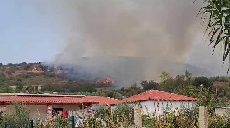 VIDEO/ Përfshihen nga zjarri kodrat me ullishte në Fier, flakët po përhapen me shpejtësi