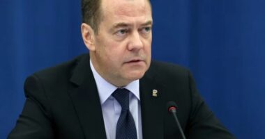 Medvedev: Rusia mund t&euml; ankeksoj&euml; Osetin&euml; Jugore dhe Abkhazin&euml;