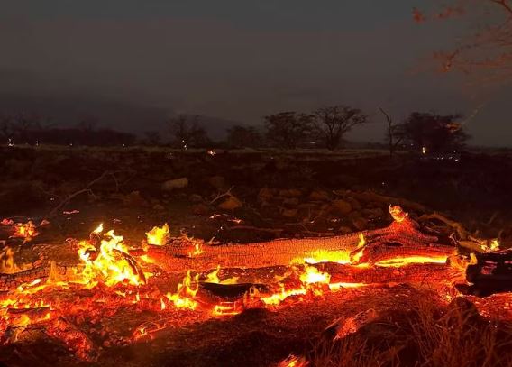 Zjarret në Hawaii/ Shkon në 53 numri i viktimave, qindra të zhdukur