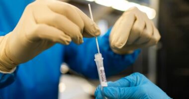 Përhapja e variantit të ri të Covid, OBSH bën thirrje për më shumë teste