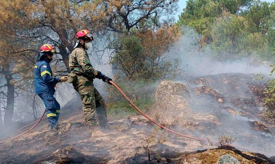 Zjarr në një pyll të Greqisë, gjenden të djegur 18 emigrantë