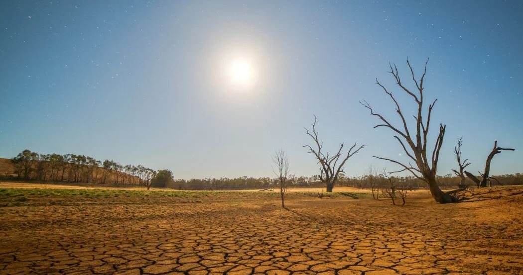 Financial Times: Fenomeni El Nino kërcënon rritjen e çmimeve në tregjet globale të ushqimit