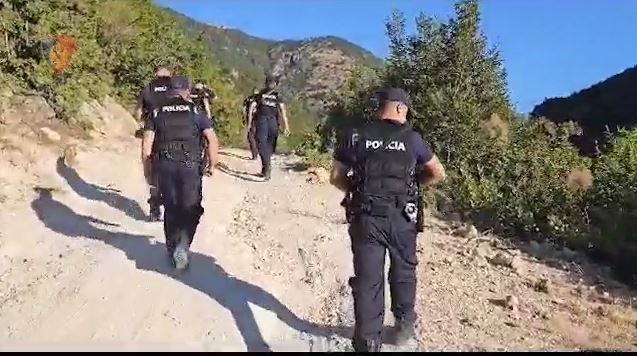 Kultivimi i bimëve narkotike, policia bën bilancin: 12 të arrestuar dhe 10 nën hetim