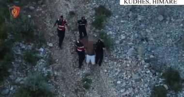 Dogjën dhjetëra hektarë me pyje, dy të arrestuar në Himarë