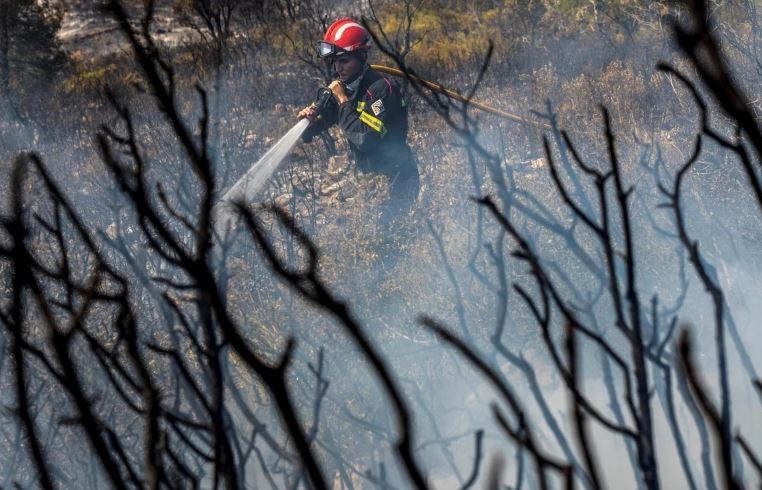 Spanja në luftë me zjarret, mijëra të evakuuar nga flakët në ishullin Tenerife