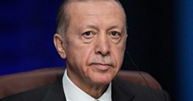 Mashtroi biznesmenë dhe zyrtarë duke imituar zërin e Erdogan, arrestohet burri në Turqi