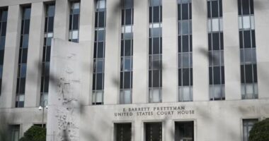 Gjykatësja thërret palët për të diskutuar mbrojtjen e të dhënave në çështjen ndaj zotit Trump