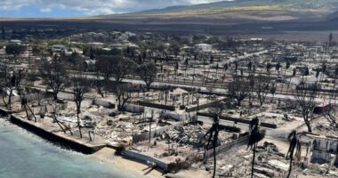 Guvernatori i Hawait: Ekipet e shpëtimit mund t’i gjejnë deri në 20 viktima në ditë