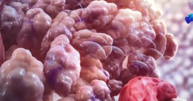 Pabarazia sociale shton rrezikun e kancerit