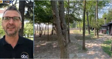 Preferohet për qetësinë/ Lezhë, laguna e Kunë Vain vizitohet nga të huajt