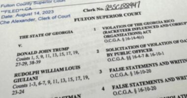 Reagime për akuzat e fundit kundër ish presidentit Trump