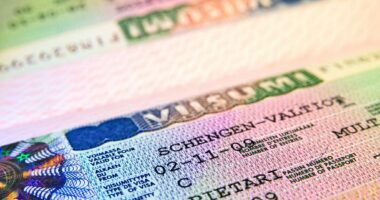 Afrikanët humbën 60 milionë euro nga refuzimi i vizave Schengen në vitin 2024