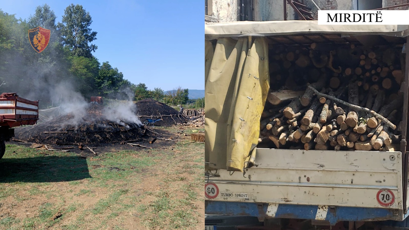 Goditet një rast i prerjes së paligjshme të pyjeve në Lezhë/ Sekuestrohen 15 m3 dru pa dokumentacion, pranga 54-vjeçarit