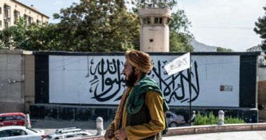 Talibanët ndalojnë partitë politike pasi i shpallin joislamike