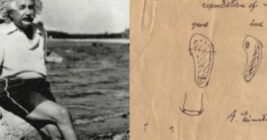 Problemi shëndetësor i Ajnshtajnit, çfarë i tha punonjëses së shtëpisë