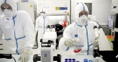 Varianti i ri i Covid-19/ OBSH dhe SHBA në alarm, frikë për shpërthimin e rasteve