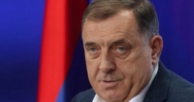 Gjermania reagon ndaj Dodikut: Një urdhër për të arrestuar Schmidt do të ishte i paligjshëm