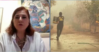 “Dëmet nga zjarret në Greqi janë të mëdha”, Gemi: Janë djegur mbi 1.5 milionë hektarë pyje dhe tokë bujqësore