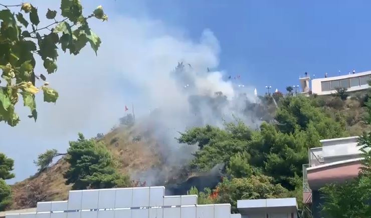 VIDEO/Merr zjarr kodra në Vlorë, rrezikohet zona rreth Kuzum Baba