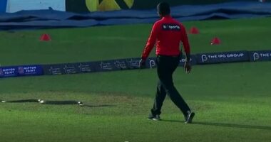 Gjarpri “prish” ndeshjen e kriketit në Sri Lanka