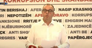 Afera e grurit në Kosovë/ PDK kërkon shkarkimin e ministres Hajdari