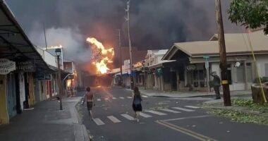 Nuk shkuan në Rodos për shkak të zjarreve, turistët e pafat përfundojnë në Hawaiin e shkrumbuar