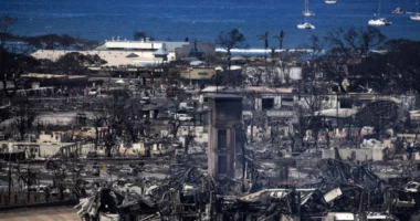 Dy javë nga zjarret vdekjeprurëse në Hawaii/ Autoritetet: 115 të vdekur dhe 388 të zhdukur