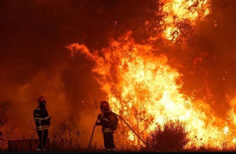 Spanja dhe Portugalia në luftë me zjarret, shënohen temperatura rekord