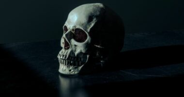 Kinë/ Gjendet kafka e lashtë ndryshe nga çdo fosil tjetër i njeriut