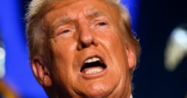 Sulmi në Kapitol, Trump kërkon ndryshimin e gjykatëses