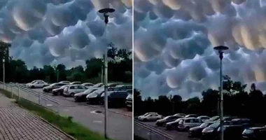 VIDEO/ Fenomen i pazakontë, format e reve shkaktuan panik në Kinë