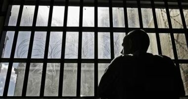 Shtatë krimet më të çuditshme që janë kryer ndonjëherë