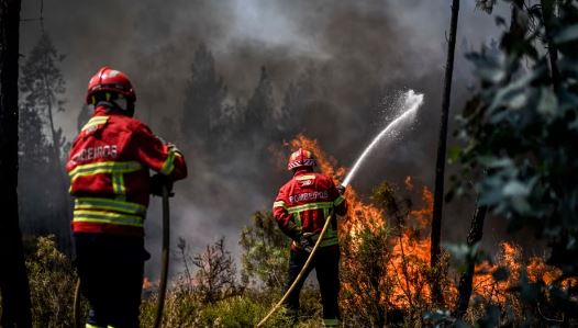 Zjarret në Portugali/ Mijëra hektarë të djegur, të paktën 9 zjarrfikës të lënduar