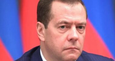 Medvedev: N&euml;se Ukraina jep territorin p&euml;r NATO-n, duhet t&euml; heq&euml; dor&euml; edhe nga Kievi