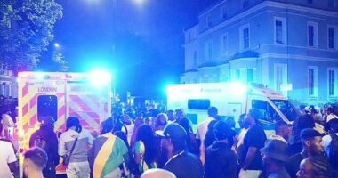 Sulm me thikë në festën e karnavaleve në Londër, plagosen 8 persona