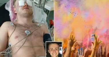 Humbi shikimin gjatë një feste në Majorka, i riu britanik dëmshpërblehet 200 mijë paund