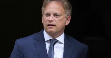 Wallace u dorëhoq, zgjidhet sekretari i ri i mbrojtjes në Mbretërinë e Bashkuar