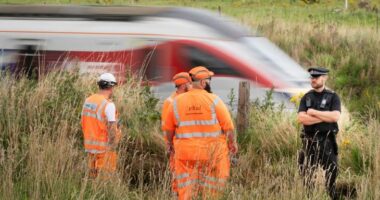 Tentoi të shpëtonte një burrë nga vetëvrasja, oficeri i policisë përplaset nga treni
