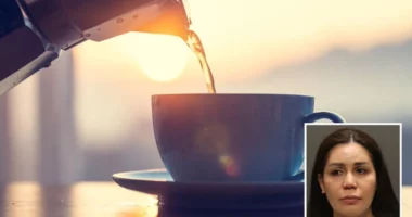 E pazakontë, donte të përfitonte si vejushë, 39-vjeçarja amerikane hidhte zbardhues në kafen e burrit