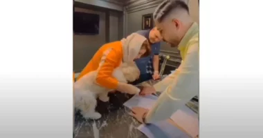 VIDEO/ Agjenti i shet apartament qenit, kafsha firmos kontratën me putrën e tij